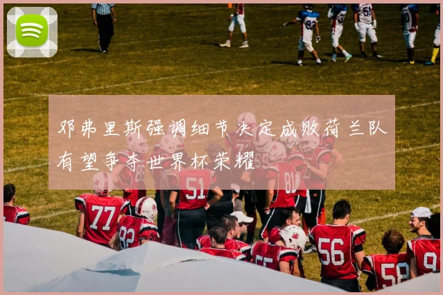 邓弗里斯强调细节决定成败荷兰队有望争夺世界杯荣耀
