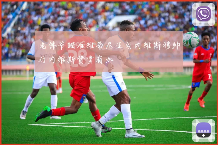 老佛爷瞄准维蒂尼亚或内维斯穆帅对内维斯赞赏有加
